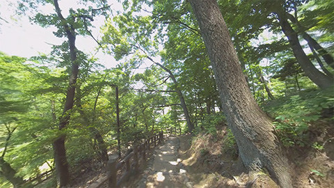 RehaVRコンテンツ 西山公園を散歩 その2のVR散歩イメージ