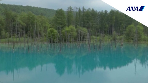 RehaVRコンテンツ 青い池のVR散歩イメージ