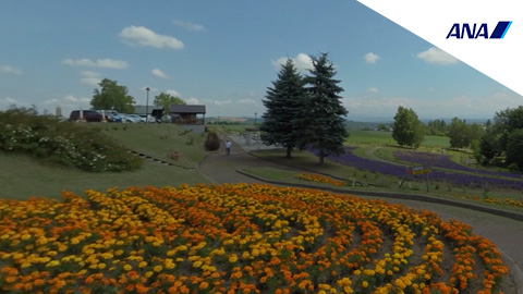 RehaVRコンテンツ 北西の丘展望台 その2のVR散歩イメージ