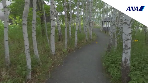 RehaVRコンテンツ 上野ファームを自由に散策 その2のVR散歩イメージ