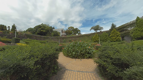 RehaVRコンテンツ 手柄山中央公園 憩いの花壇を散歩のVR散歩イメージ