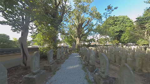 RehaVRコンテンツ 羅漢寺を散歩のVR散歩イメージ