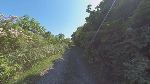 RehaVRコンテンツ パーク獅子吼を自由に散策 その2のVR散歩イメージ