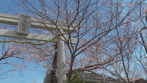 RehaVRコンテンツ 尻手駅から日枝神社まで散歩のVR散歩イメージ