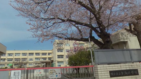 RehaVRコンテンツ 矢向小学校の桜と青空のVR散歩イメージ