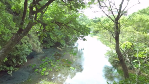 RehaVRコンテンツ 第一展望台から見る柿田川の湧き間のVR散歩イメージ