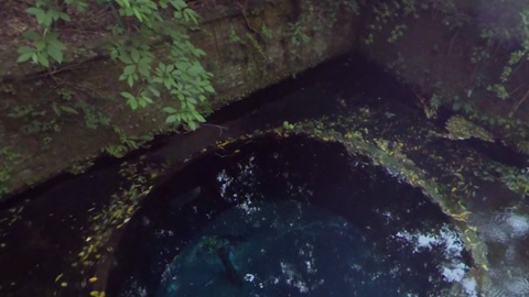 RehaVRのVR散歩コース「第二展望台から見る柿田川の湧き間」のイメージ画像です