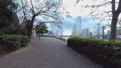 RehaVRコンテンツ 佃公園（隅田川沿い）のVR散歩イメージ