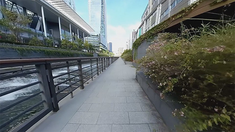 RehaVRコンテンツ 親水公園遊歩道散歩のVR散歩イメージ