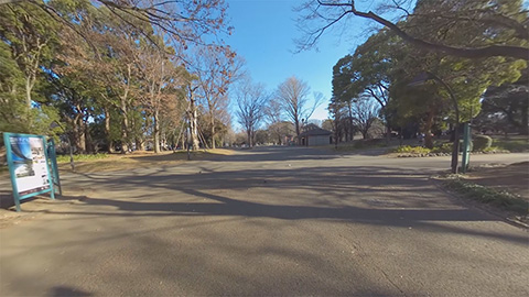 RehaVRコンテンツ 上野公園 博物館めぐり散歩のVR散歩イメージ