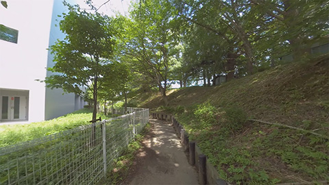 RehaVRコンテンツ 多摩地区公園散歩 その1のVR散歩イメージ