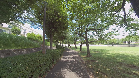RehaVRコンテンツ 多摩地区公園散歩 その2のVR散歩イメージ