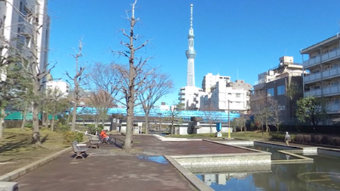 RehaVRコンテンツ 大横川親水公園を散歩のVR散歩イメージ