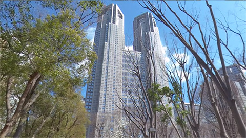RehaVRコンテンツ 新宿中央公園を自由に散策 その1のVR散歩イメージ