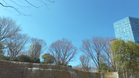 RehaVRコンテンツ 新宿中央公園を自由に散策 その2のVR散歩イメージ